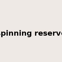 spinning reserve是什么意思