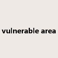 vulnerable area是什么意思