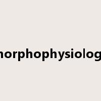 morphophysiology是什么意思