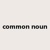 common noun是什么意思