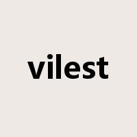 vilest是什么意思