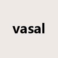 vasal是什么意思