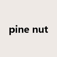 pine nut是什么意思