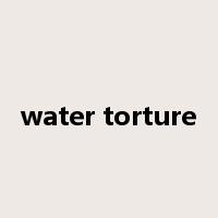 water torture是什么意思
