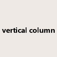 vertical column是什么意思