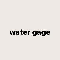 water gage是什么意思
