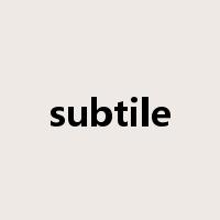 subtile是什么意思