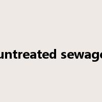 untreated sewage是什么意思