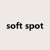 soft spot是什么意思