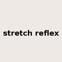 stretch reflex是什么意思