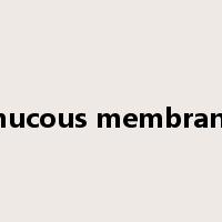 mucous membrane是什么意思
