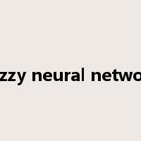 fuzzy neural network是什么意思