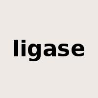 ligase是什么意思