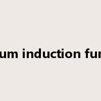 vacuum induction furnace是什么意思