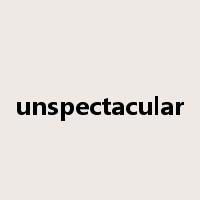 unspectacular是什么意思
