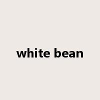 white bean是什么意思