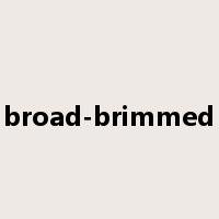 broad-brimmed是什么意思