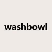 washbowl是什么意思