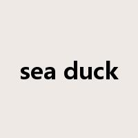 sea duck是什么意思