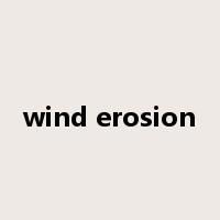 wind erosion是什么意思