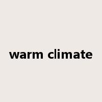 warm climate是什么意思