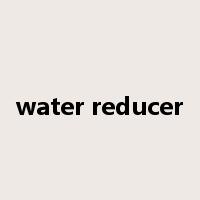 water reducer是什么意思