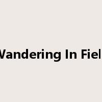 Wandering In Field是什么意思