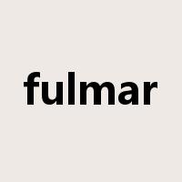 fulmar是什么意思