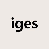 iges是什么意思