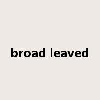 broad leaved是什么意思