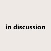 in discussion是什么意思
