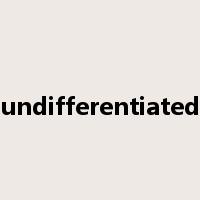 undifferentiated是什么意思