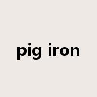 pig iron是什么意思