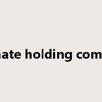 ultimate holding company是什么意思