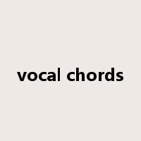 vocal chords是什么意思
