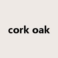 cork oak是什么意思
