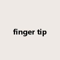 finger tip是什么意思
