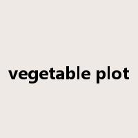 vegetable plot是什么意思