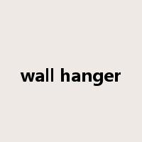 wall hanger是什么意思
