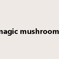 magic mushrooms是什么意思
