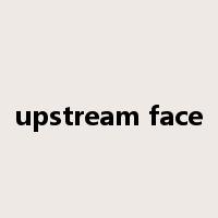 upstream face是什么意思
