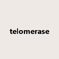 telomerase是什么意思