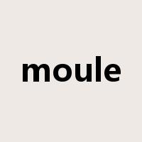 moule是什么意思