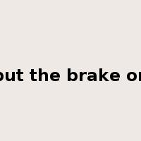 put the brake on是什么意思