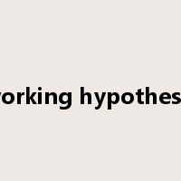 working hypothesis是什么意思