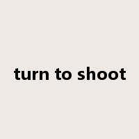 turn to shoot是什么意思