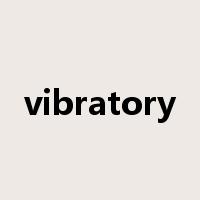 vibratory是什么意思