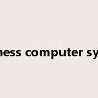 business computer system是什么意思