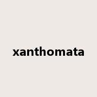 xanthomata是什么意思