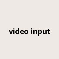 video input是什么意思
